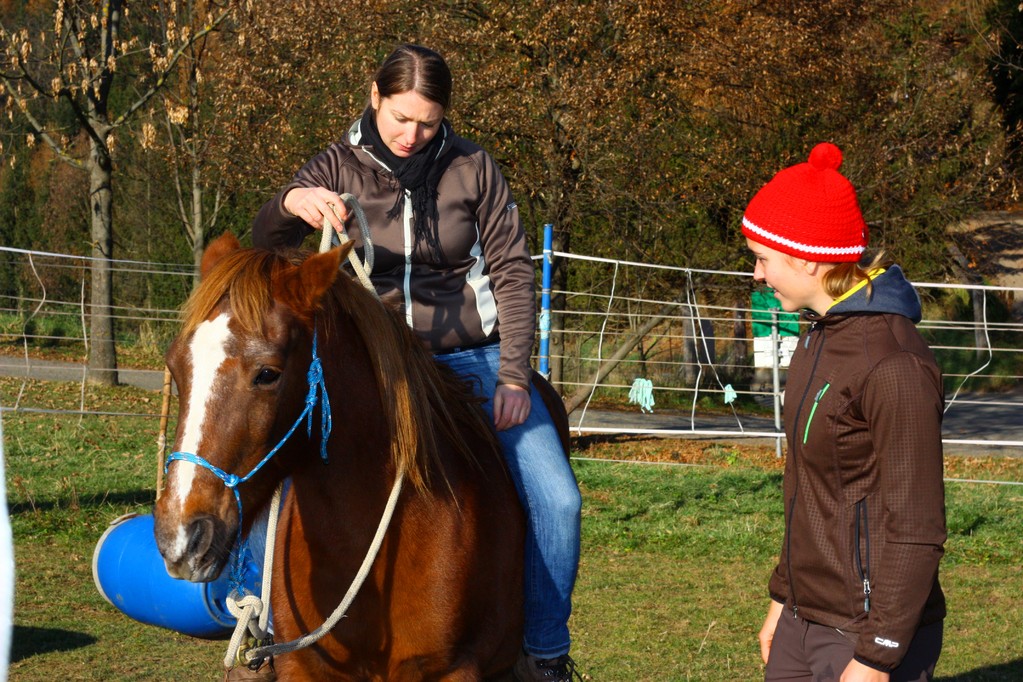 Horsemanship Reiten