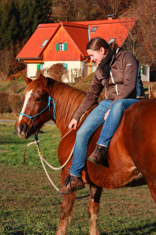 Natural Horsemanship Österreich