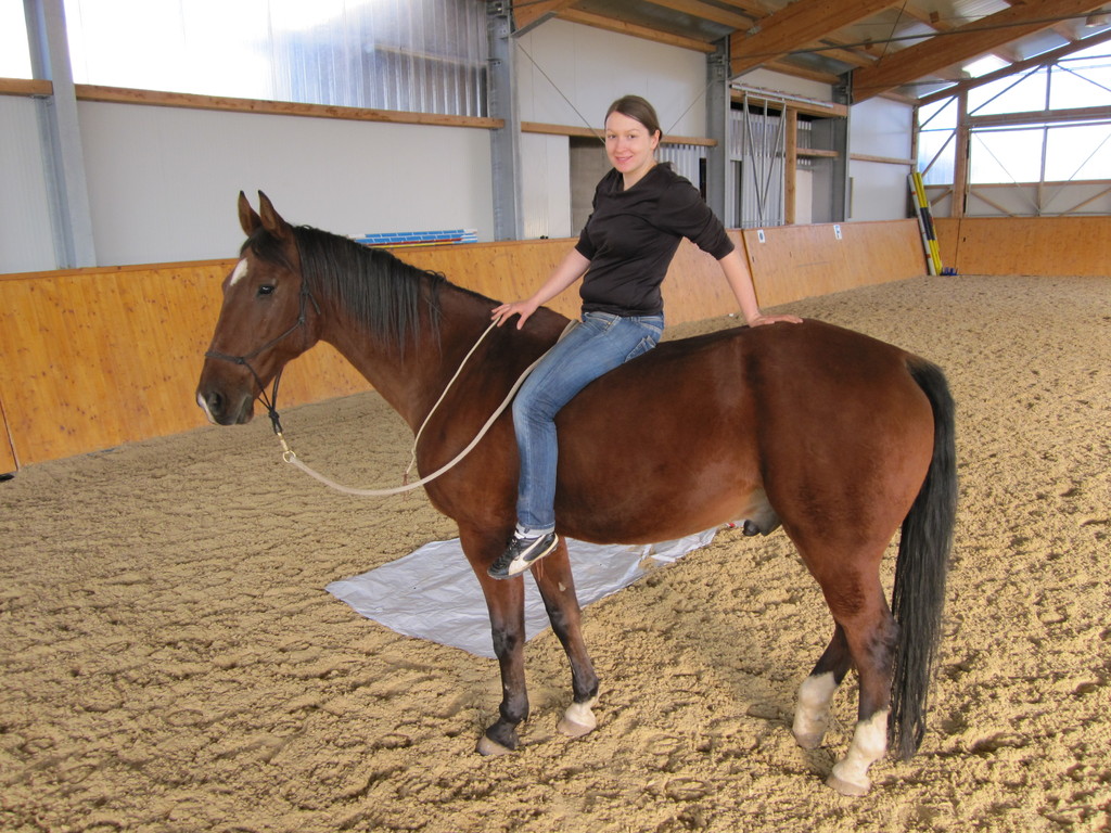 Horsemanship Österreich