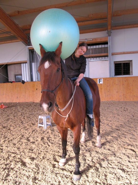 Natural Horsemanship Trainer