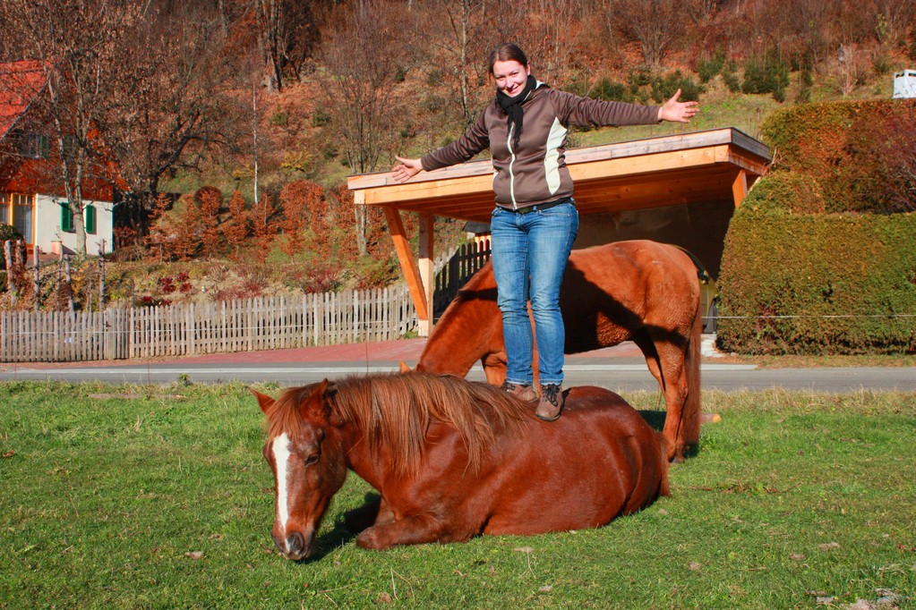 Natural Horsemanship Steiermark