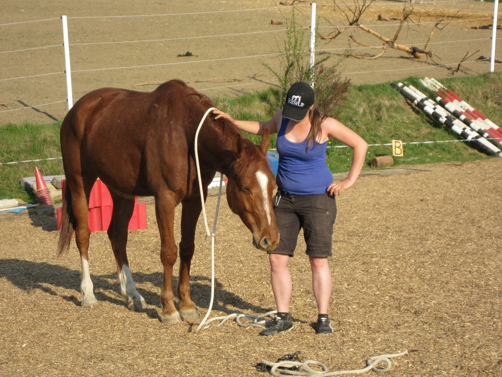 Horsemanship Training