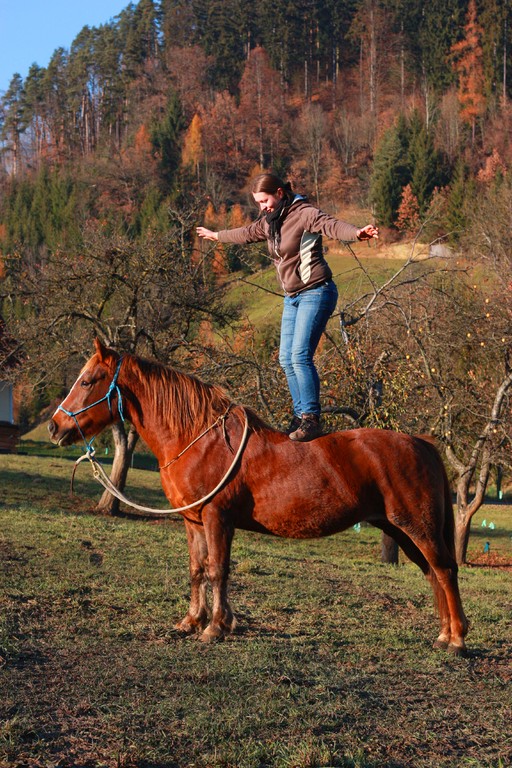 Horsemanship Österreich