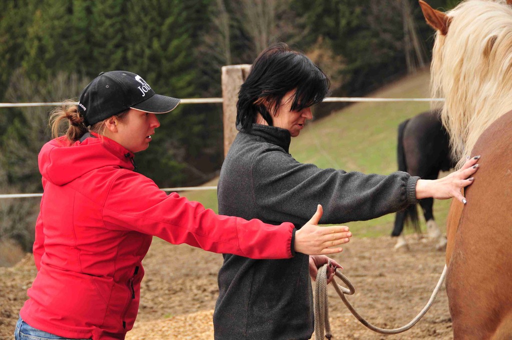 Horsemanship Trainer - Martina Jeremic