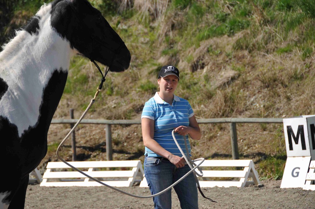 Horsemanship Trainer