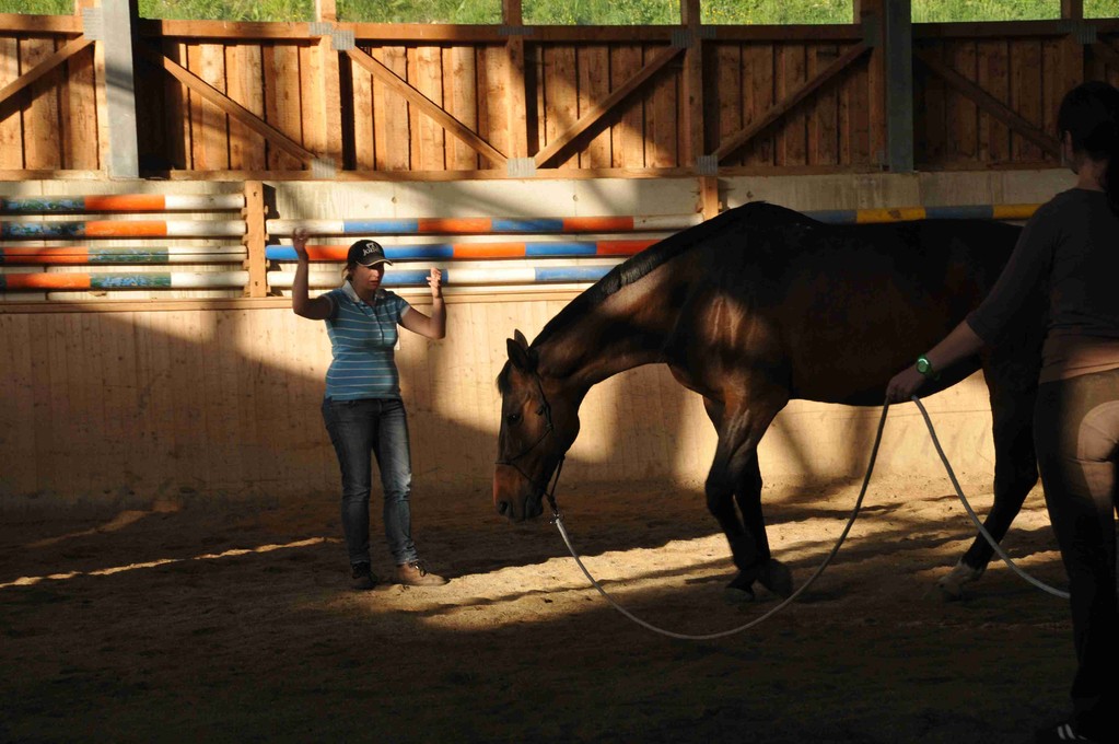 Horsemanship Österreich