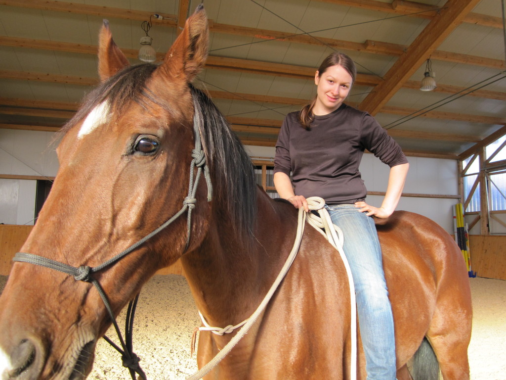 Natural Horsemanship Steiermark