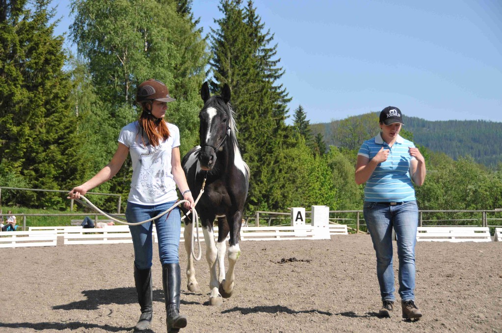 Horsemanship Kurs