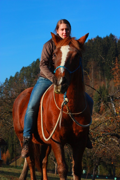 Natural Horsemanship Trainer