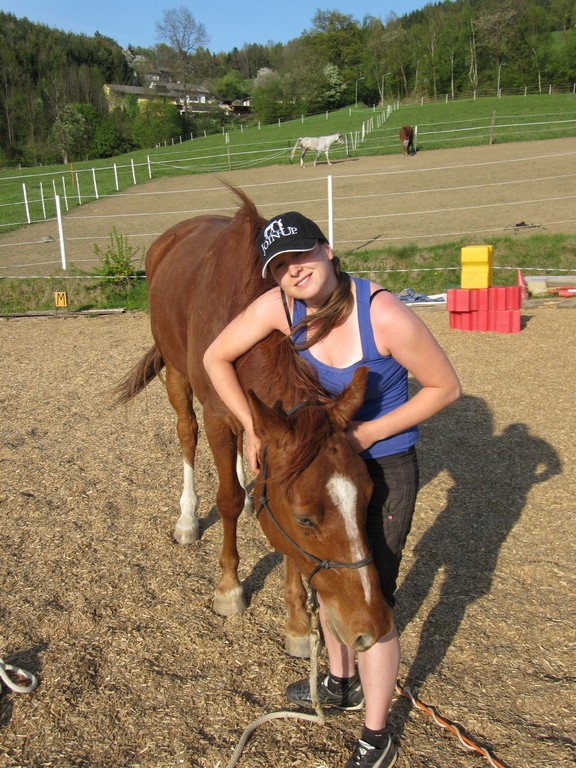 Natural Horsemanship Kurse