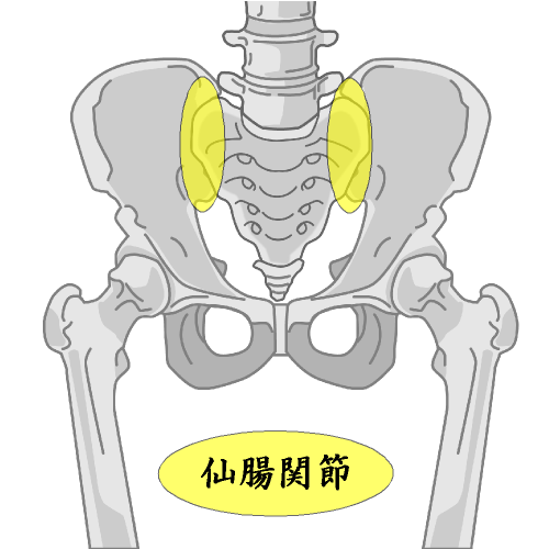 仙腸関節