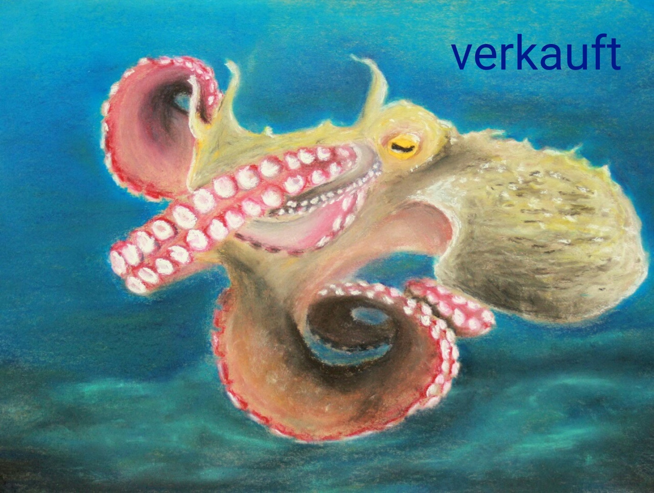 --- Verkauft--- Krake / 30 x 40 cm  / Pastellkreide auf Papier / 2015