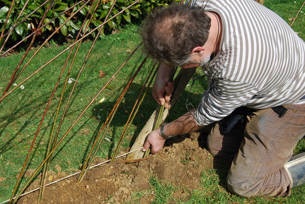 Plantation d'une haie