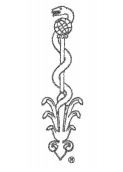 Logo des Heilpraktiverbands Bayern e.V.
