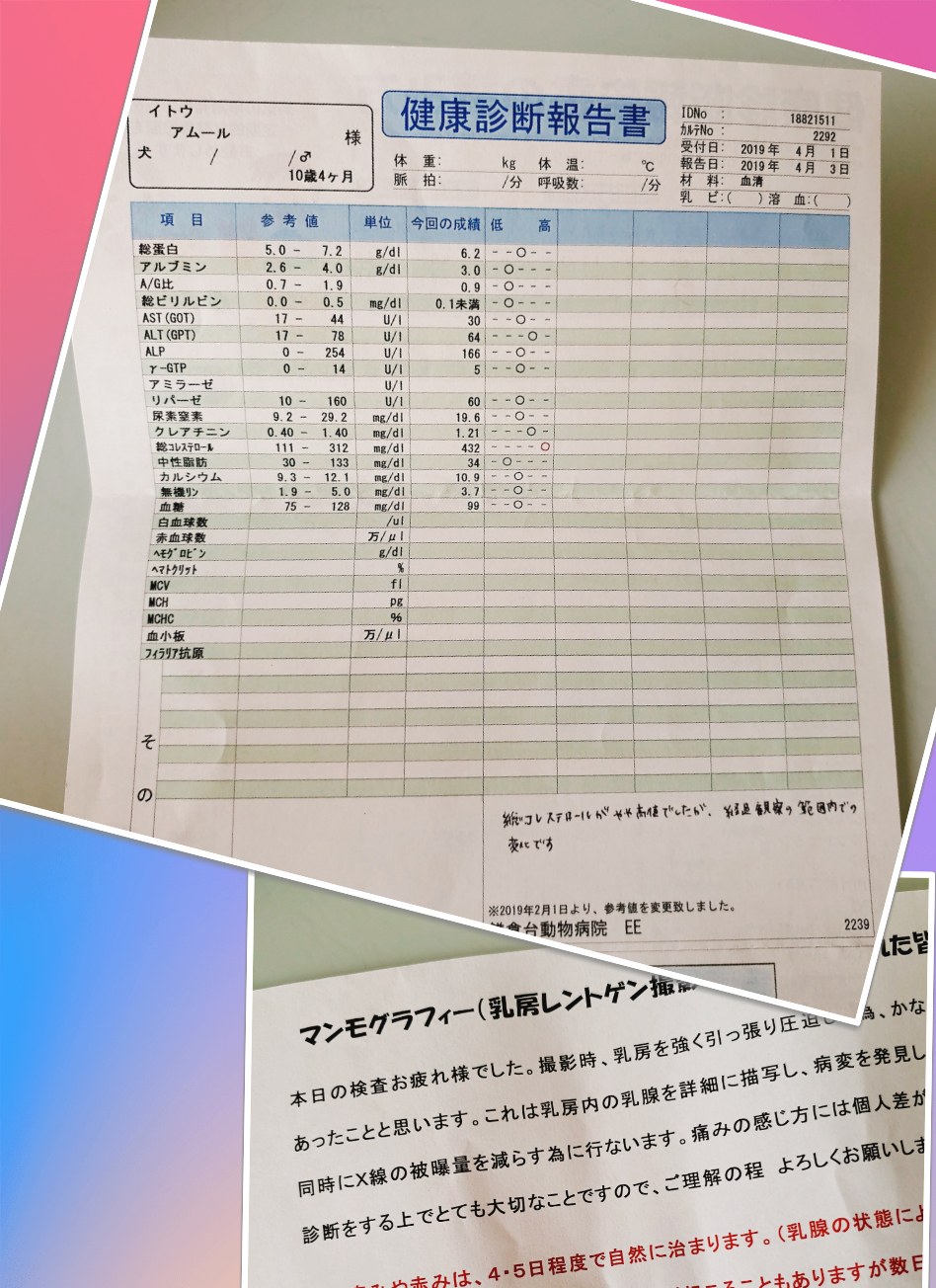 愛犬の健康診断結果