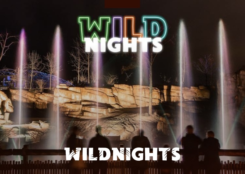 Wildnights emmen