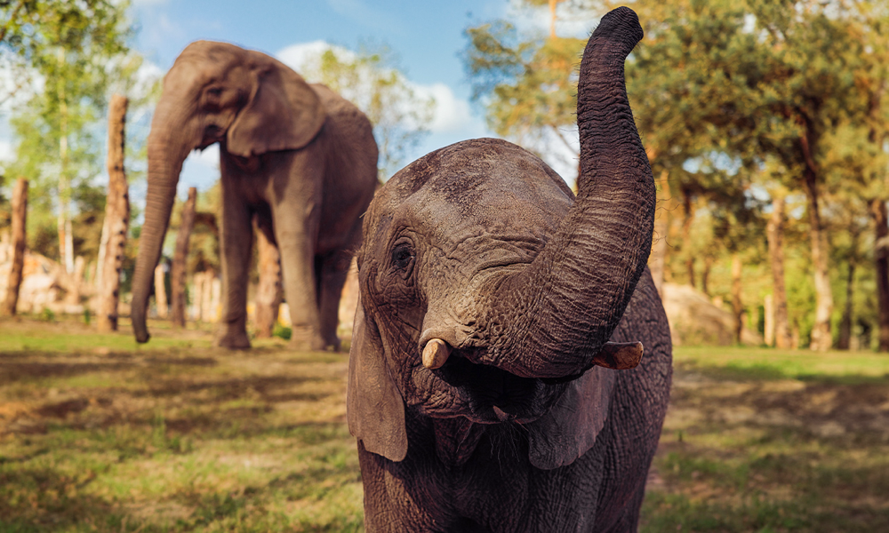 Dierentuin korting postcodeloterij 2023