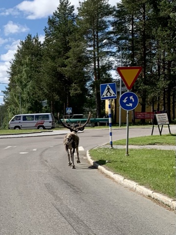 Yokkmokk