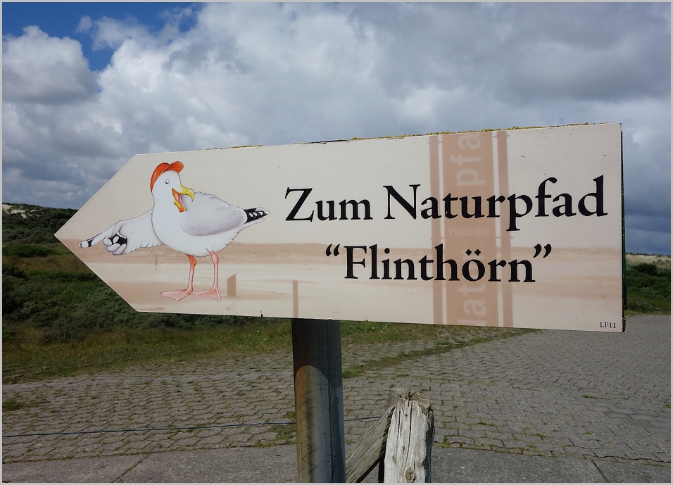 zum Naturlehrpfad