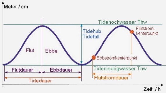 Ebbe und Flut an der Nordsee, Ursachen, Gezeiten, Springtiede 