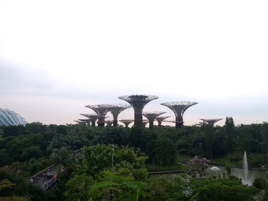Garden by the bay