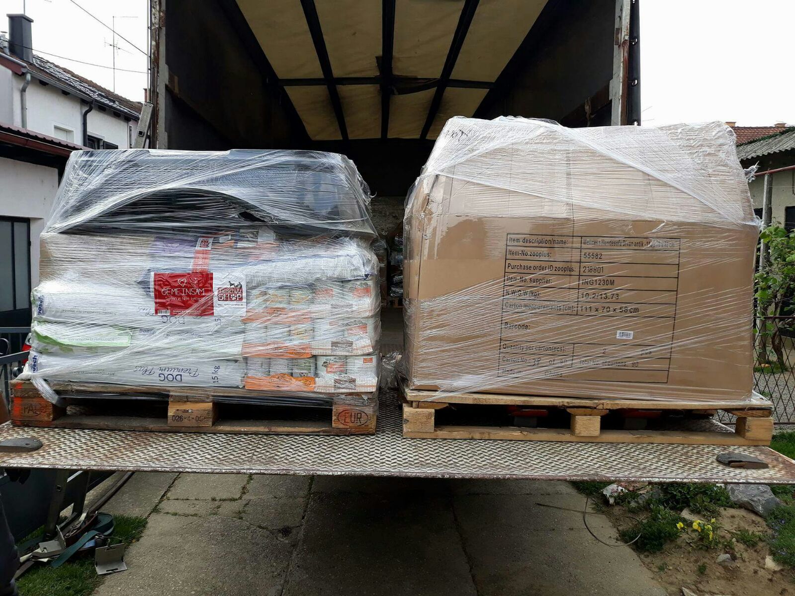 Futterspenden Aktiv für Hunde in Not