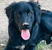 Nico :-)