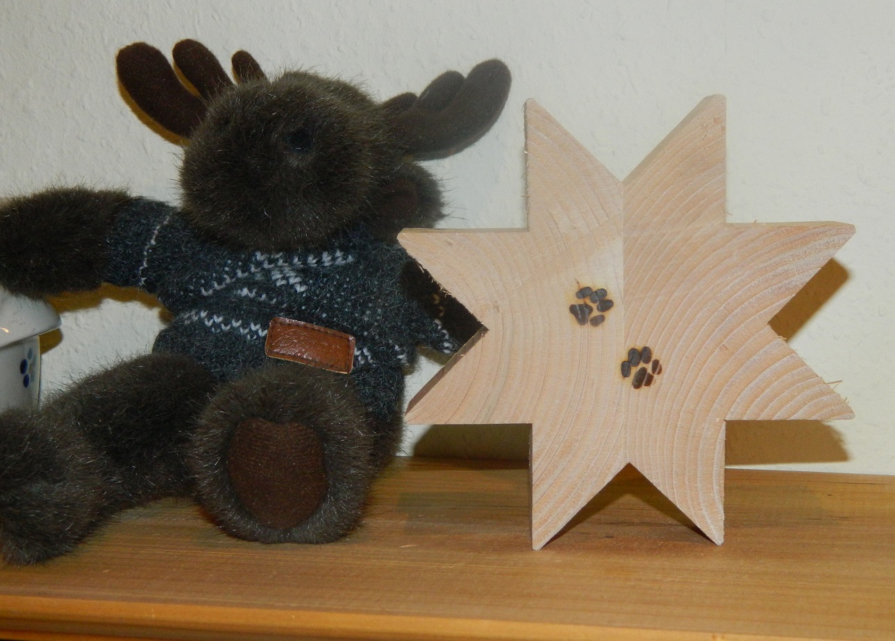 Aktionen Aktiv für Hunde in Not