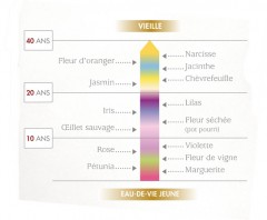 L'information pour progresser