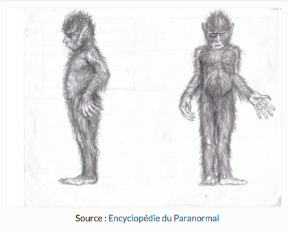 encyclopédie du paranormal