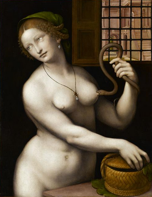Giampietrino