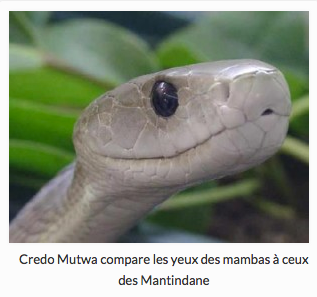 credo mutwa compare les yeux des mambas à ceux des mantindane