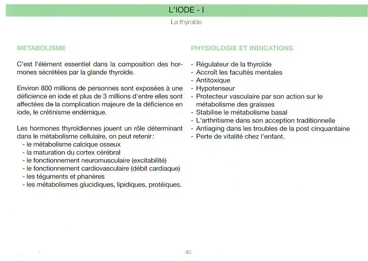 Cliquez pour agrandir l'image