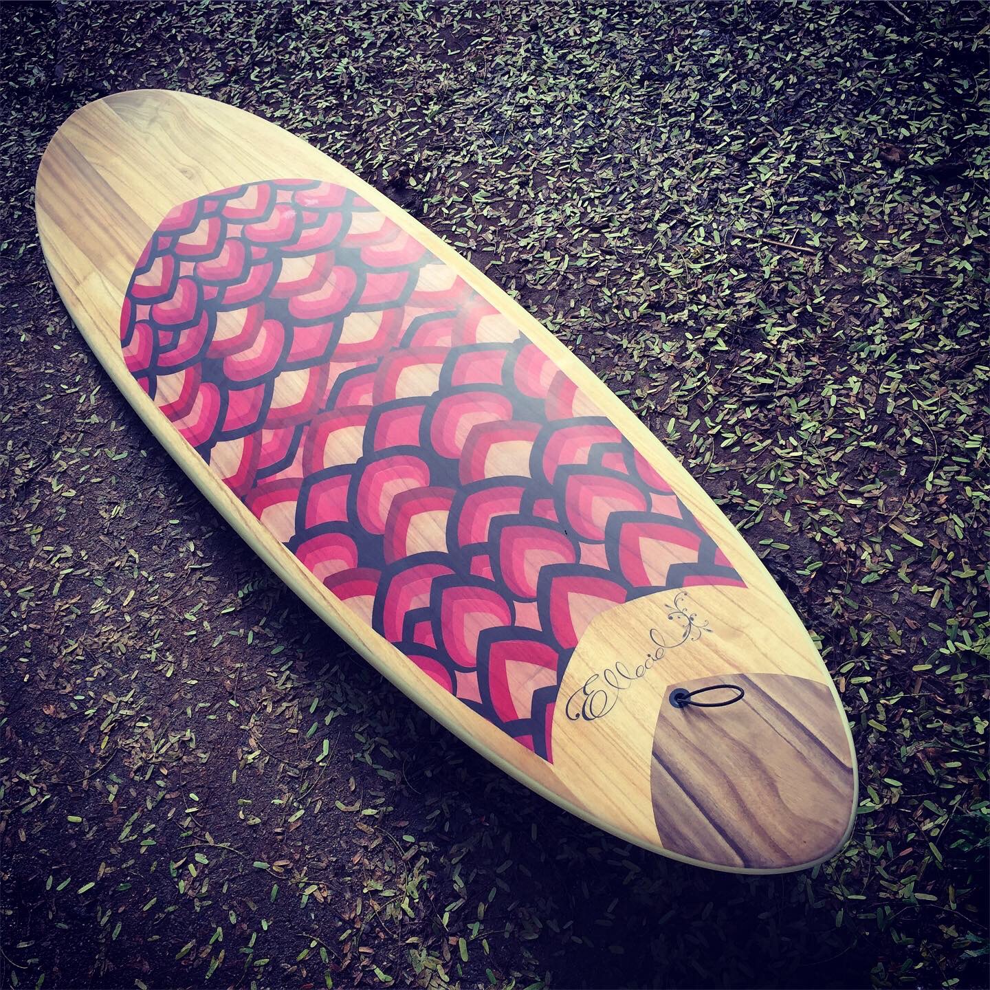 正規代理店 Elleciel - Hulls Displacement Custom Surfboards Wood-Epoxy-EPS サーフィン・ボディボード