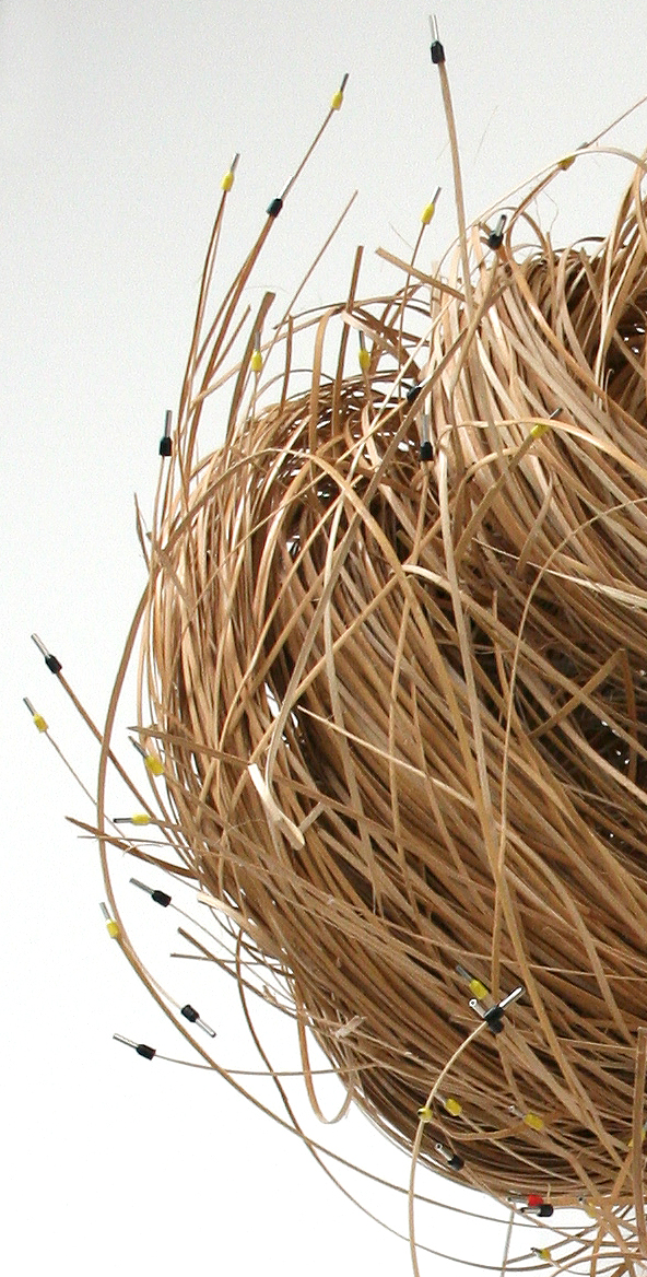 Detail 3 Gehirnzellen
