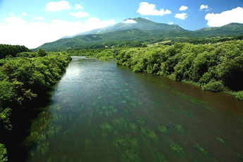 尻別川