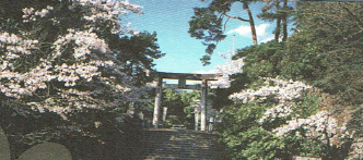 武田神社の写真