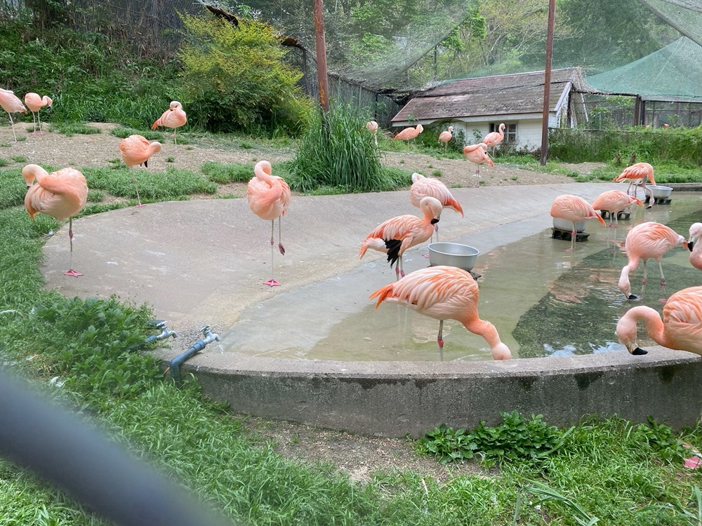 池田動物園へ行ってきました♪