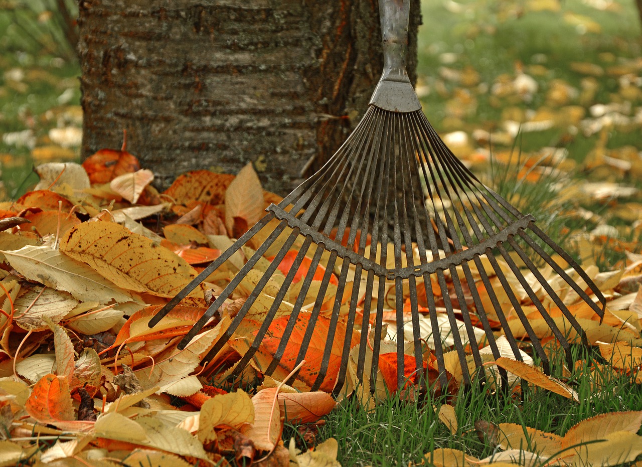 Gartenwühlen im September