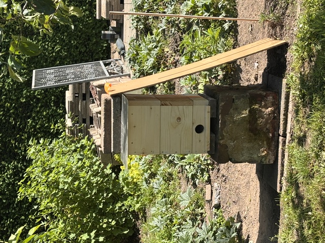 Eine japanische Bienenbeute bauen