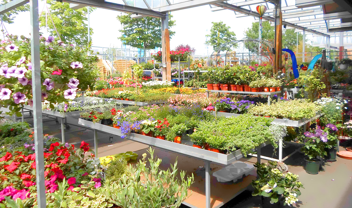 Pflanzen & Deko - Vorteil Bauzentren