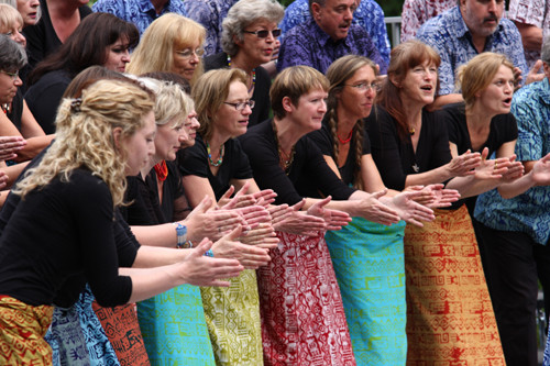 Afrikakonzert im Luisenpark Mannheim - Juni 2010