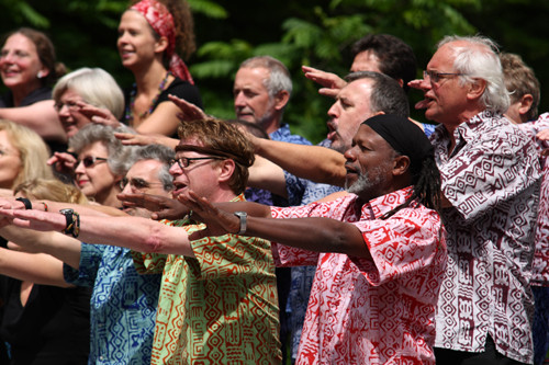 Afrikakonzert im Luisenpark Mannheim - Juni 2010