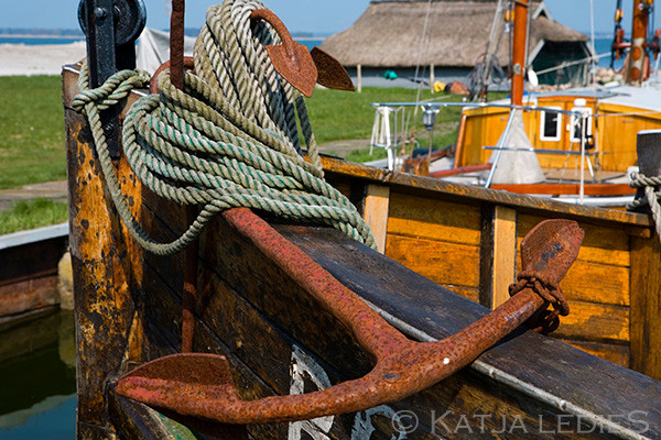 Fischland Darß-Zingst: Im Hafen