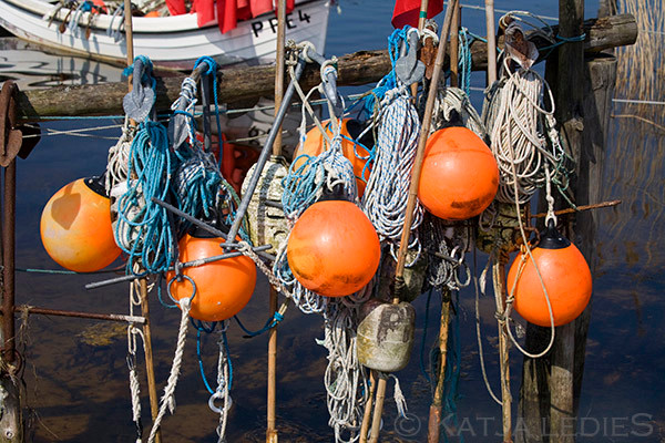 Fischland Darß-Zingst: Fischereibedarf