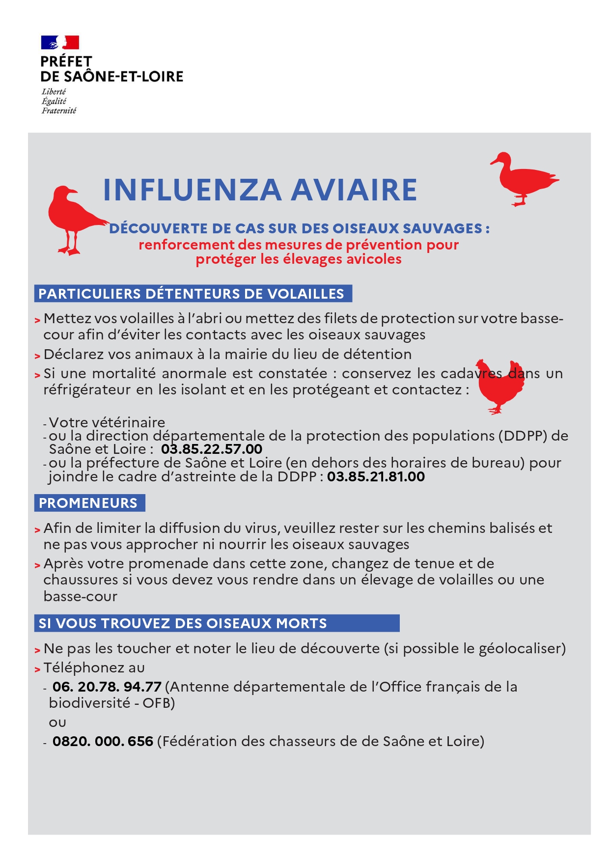 DDPP à mairies- IAHP-cas faune sauvage_Marcigny