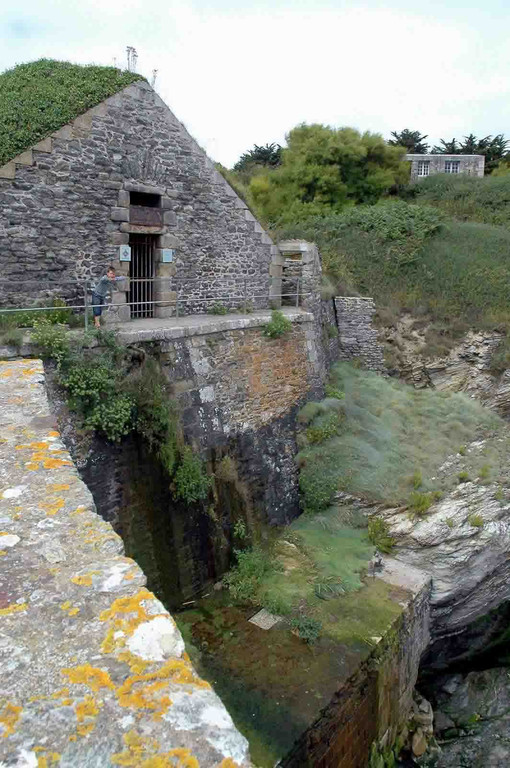 Belle Fontaine