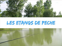 peche-etang-camping-4-etoile-location-mobil-home-gite-80-somme-rue-carpe