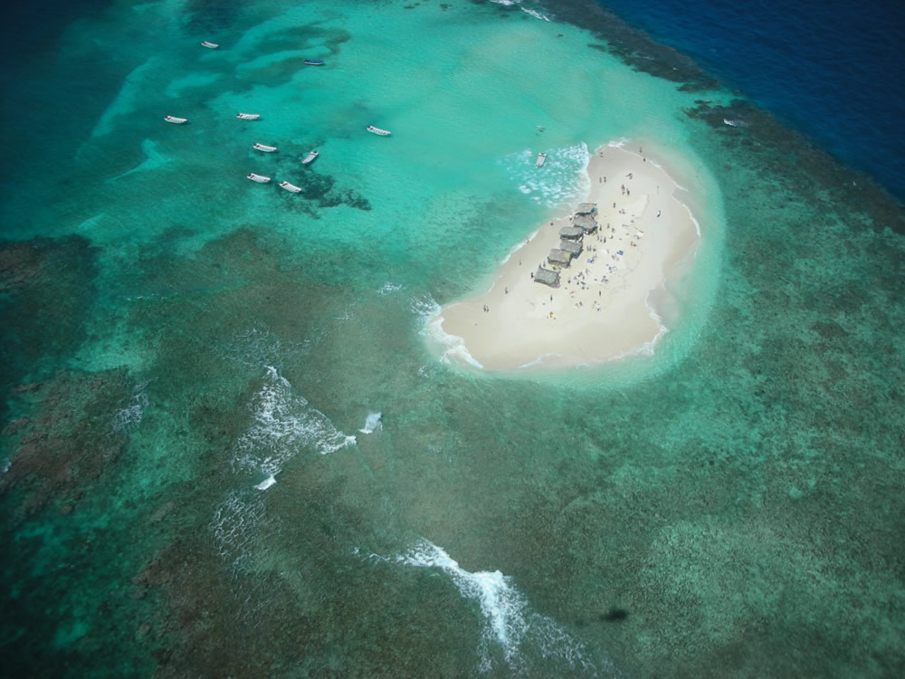   Cayo Arena