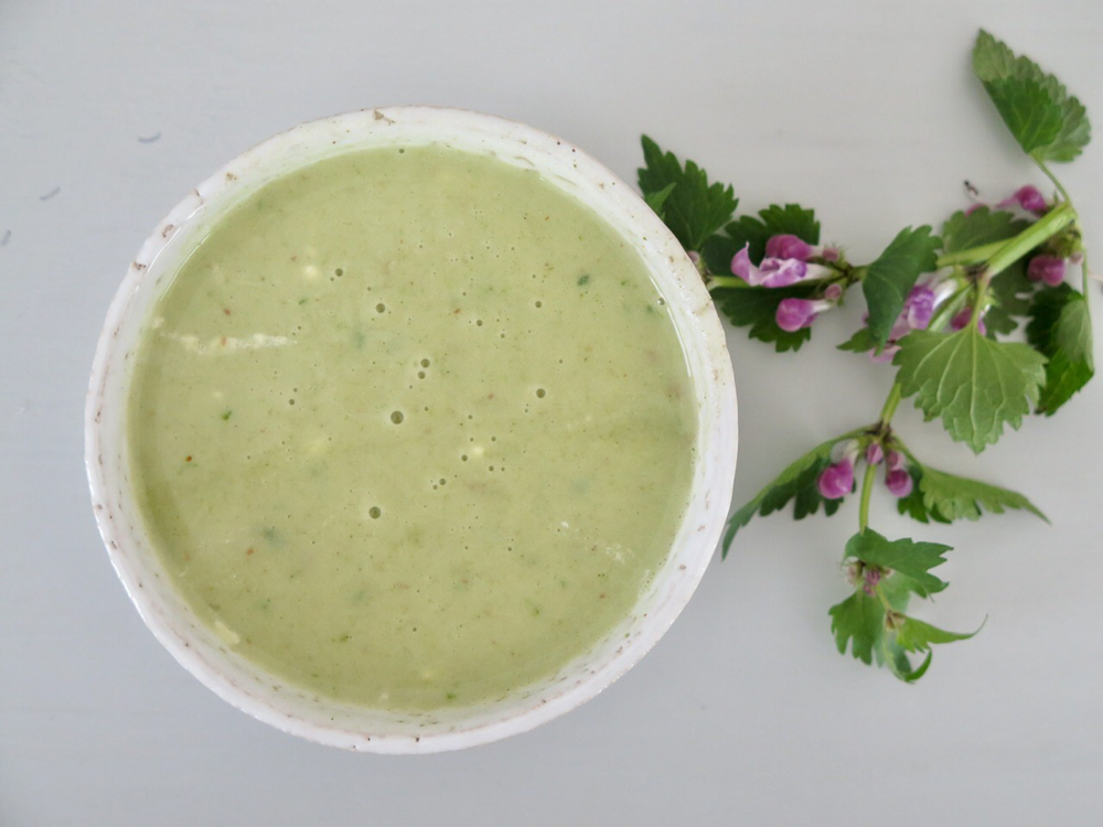 Brennnessel-Taubnessel-Suppe